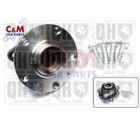 Rear Wheel Bearing Kit Fits Audi A6 2004-2011