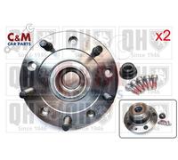 Rear Wheel Bearing Kit Pair Fits Ford Transit 2013-2022