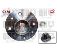Rear Wheel Bearing Kit Pair for RENAULT 18 from 1982 to 1986 - QH