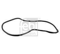 FEBI BILSTEIN 08889 Seal, rear windscreen