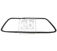 Windscreen Seal fits MERCEDES 300 W123 2.9D 76 to 85 OM617.912 A1236700239 Febi