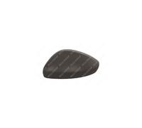 PRASCO PG3267414 Wing mirror cover