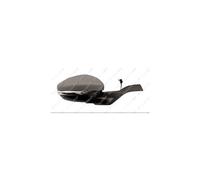 Rearview Mirror AR4910Q