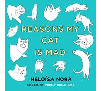 Reasons My Cat Is Mad