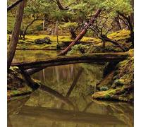 Rebecca Foon & Aliayta Foon-Dancoes - Reverie