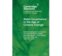 Rebel Governance in the Age of Climate Change