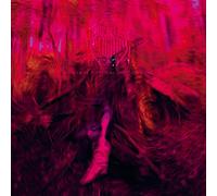 Rebel Wizard - Magickal Mystical Indifference