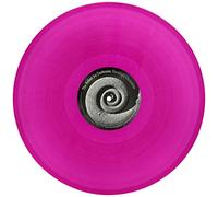 REBOOT JOY CONFESSION - Blacklight Chameleon