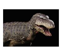 Rebor Tyrannosaurus rex "Kiss" Island Version Dinosaur Model