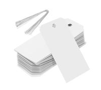 Rebower 100Pcs Plastic Shipping Tags 4.72x2.36 Inch White Waterproof Labeling Tags with Wire for Luggage Garage Equipment Inventory Car Parts Name Price
