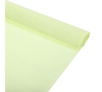 Rebower Crepe Paper Streamers, Light Green, 50 x 250 cm, Party Decorations & Gift Wrapping