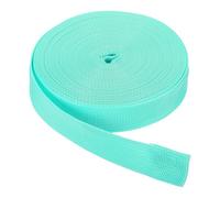 Rebower Nylon Webbing Strap, 10 Yards x 1 Inch Polypropylene Webbing Lightweight Strapping Backpack Band for DIY Gear Repair Outdoor Luggage Cargo Straps, Pale Blue