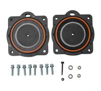 Rebuild Assembly For For 60 and 80 Air Pumps Featuring Two Diaphragms Eight Screws and Six Additional Service Items