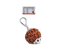 REBUY 5 Mukhi Rudraksha Pendant (Big Bead) Genuine Nepali Five Mukhi Original Certified Rudraksha Pendant with Red Thread for Men and Women, Origin Nepal, Color Brown