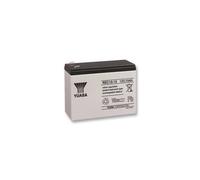 REC10-12 Yuasa Battery Deep Cycle Vrla 12V 10Ah