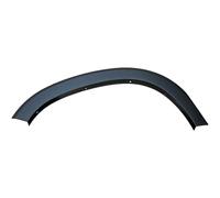 RECAMBO Front Left Fender Widening Suitable for Dacia Duster II Year of Manufacture from 2018 - Wheel Arch Protection in Series Look, Vehicle-Specific Shape, Robust Surface, Mounting on Series Points