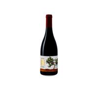 Recanati Petit Syrah Reserva 2021