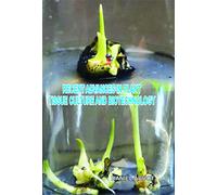 Recent Advances In Plant Tissue Culture And Biotechnology