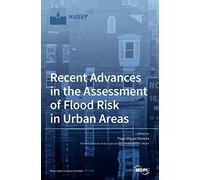 Recent Advances in the Assessment of Flood Risk in Urban Areas