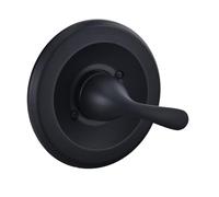 Recessed Bathroom Trim Set with Escutcheon Plate for R10000 & 13/14 Series Operations Recessed Shower Gate Trim Set