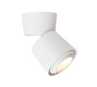 Recessed Modern Indoor LED Directional Ceiling Spotlight Adjustable Tilt Angle-Surface Mounted COB Lighting Fixture Wall Spot Light/Downlight, CRI> 85, 85-265VAC ted