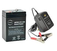Rechargeable Battery 6 Volt 4.5AH 6V4.0 Sealed Lead Acid Battery & 6 Volt Mains Charger