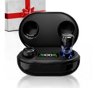 Rechargeable Hearing Aids with Charging Case | 30H Playtime, 3 Modes (Meeting/Sport/Outdoor) | 6 Silicone Ear Tips, LCD Display, Cleaning Brush | IPX7 Waterproof, Bluetooth 5.3