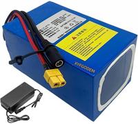 Rechargeable Lithium Battery 24V 7S 7.5Ah 10, 12, 15, 20, 25 with Charger for Solar System, Scooter and Outdoor Energy Storage