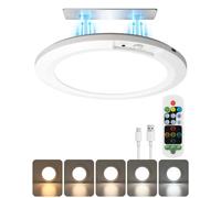 Rechargeable Motion Sensor Magnetic Ceiling Light, 60-Day Battery Life | Renter-Friendly Stick-On or Screw Mount, Dimmable with Remote & Timer, 450LM Bright Enough for Wardrobe & Hallway, 1-Pack