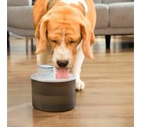 Rechargeable water fountain for cats with sensor InnovaGoods Refopet