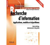 Recherche d'information - Applications, modèles et algorithmes: Data mining, décisionnel et big data