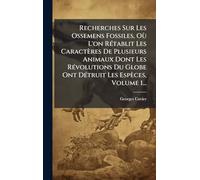 Recherches Sur Les Ossemens Fossiles, Où L'on Rétablit Les Caractères De Plusieurs Animaux Dont Les Révolutions Du Globe Ont Détruit Les Espèces, Volume 1...