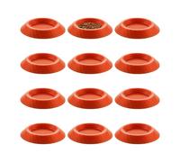 Rechory Isopod Feeder - Non-Slip Enclosures Terrariums Feeding Tray - Roaches Feeding Bowl | for Springtails Millipedes Dwarf Invertebrates