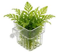 Rechory Plant Holder for Fish Tank | Transparent Hangable Cup | Aquarium Plant Basket - for Hydroponic System Indoor Home Cultivation Workplace Decorations Fish Tank