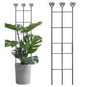 Rechory Plant Trellis Indoor,Rustproof Metal Pole Stakes,83x20cm Monstera Plant Stem Support Poles | for Vines Ivy Clematis Philodendron Flower Wedding Party Garden Balcony Outdoor