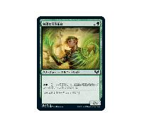Reckless Amplimancer (foil) (Japanese) | Strixhaven: School of Mages