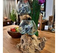 Reclaimed Teak Root Wood Bowl with Molten Glass - Double Bowl - Hand Blown Natural Shape Glass Forms Over The Wood