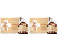 RECOACTIV Recovery Renal for cats, 3 x 90 ml, high-calorie complete diet food for cats with kidney dysfunction and increased energy requirements during recovery, to promote weight gain (Pack of 2)
