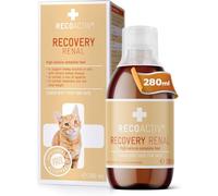 RECOACTIV Recovery Renal for Cats - High-Calorie & Highly Palatable - Supports Kidney Function & Weight Gain, Highly Digestible Proteins, Low Phosphorus Content, Complete Diet, 280 ml