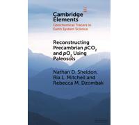 Reconstructing Precambrian pCO2 and pO2 Using Paleosols (Elements in Geochemical Tracers in Earth System Science)