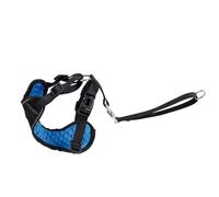 Record - Car Harness Kit for Dogs with Safety Belt Connection. Massage Padding and Reflective Stitching for Walking and Travel in Safety | L - Neck 54-78 cm, Waist 68-92 cm