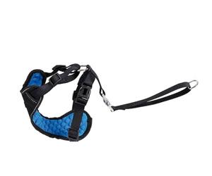 Record - Car Harness Kit for Dogs with Safety Belt Connection. Massage Padding and Reflective Stitching for Walking and Travel in Safety | L - Neck 54-78 cm, Waist 68-92 cm