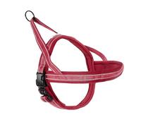 Record Dolomiti Dog Harness - Red - Size XS - Circumference 48-56 cm - Material: Nylon Braided with Reflective Bands 3M ScotchLite