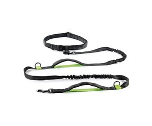 Record - Jogging Dog Leash - Extendable Lead - Made of Nylon - With Elastic Anti-Pull Extender - Length 215-270cm - Black and Green