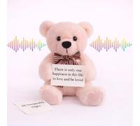 Recordable Teddy Bear with 20 Swappable Signs, Plush Voice Recorder Stuffed Animal, Soft Fuzzy Doll for Birthday, Valentine’s Day, Romantic for Kids, Wife & Couples, Pink, 10”