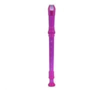 Recorder Flute Instrument 6 Colors Optional ABS Transparent Eight Holes Recorder Flute Professional For Beginners(Purple)