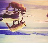 Recorders - Above the Tide