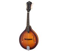 Recording King RAM-3-TS Mandoline