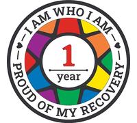 Recovery Pride Medallion in Years 1-50 Recovery AA Chip Sober Medallion Year 1