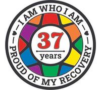 Recovery Pride Medallion in Years 1-50 Recovery AA Chip Sober Medallion Year 37